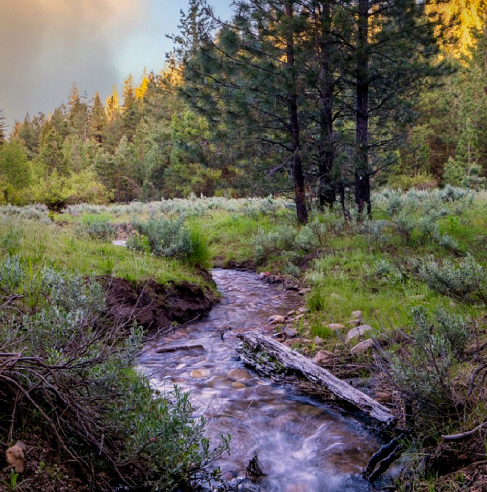 Trail Creek Meadows Lot 15