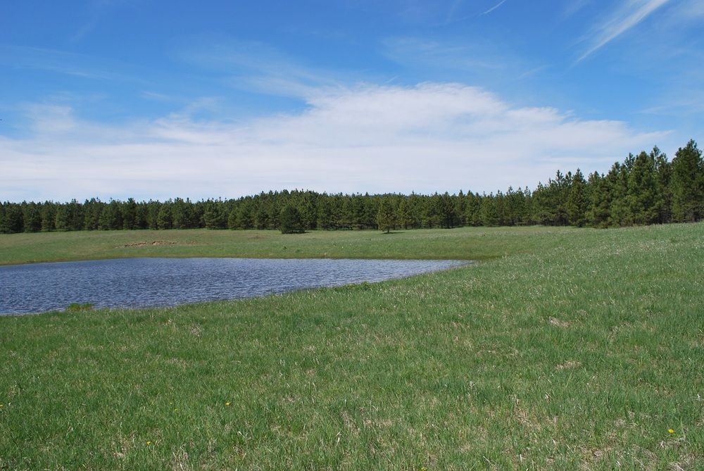 property-image-4