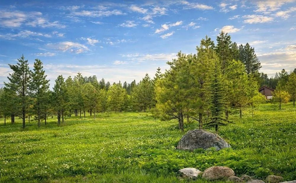 property-image-3