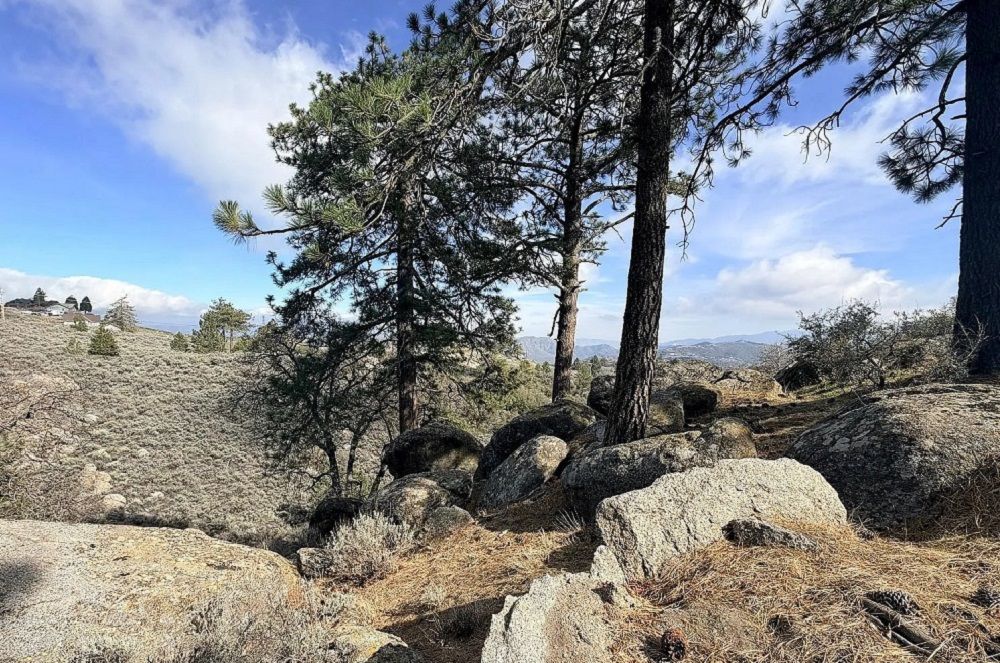 property-image-2