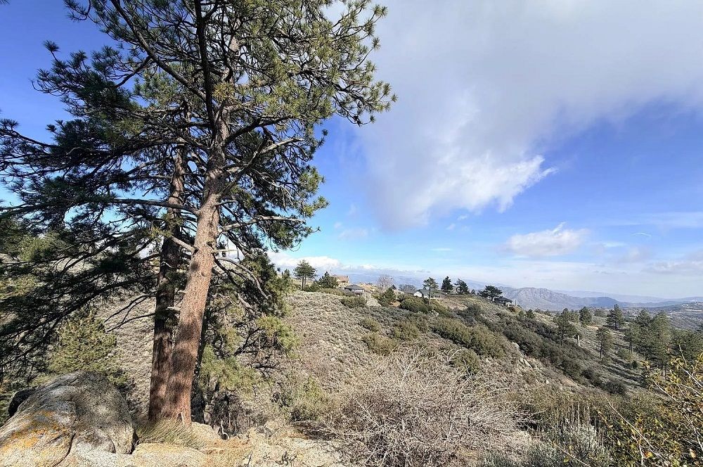property-image-5