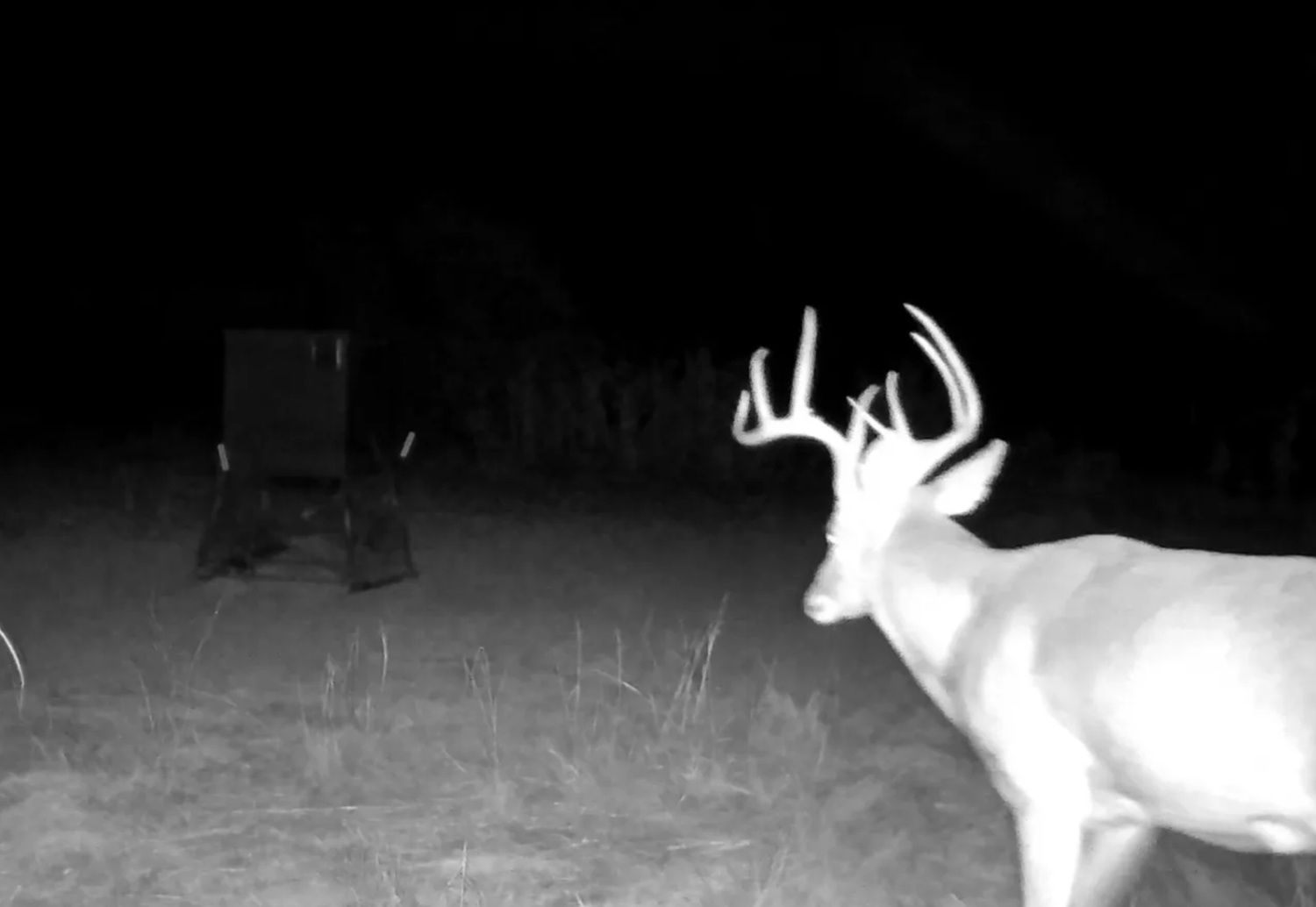 PRIME TEXAS HUNTING RANCH WITH CANYON TERRAIN & WATER WELLS - HALL COUNTY