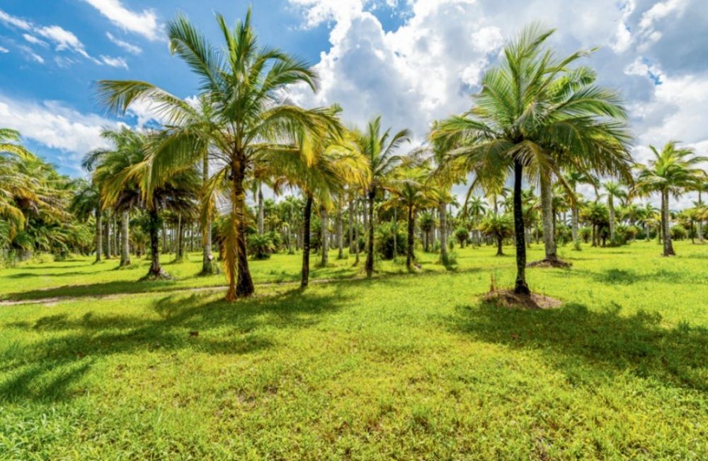 property-image-4