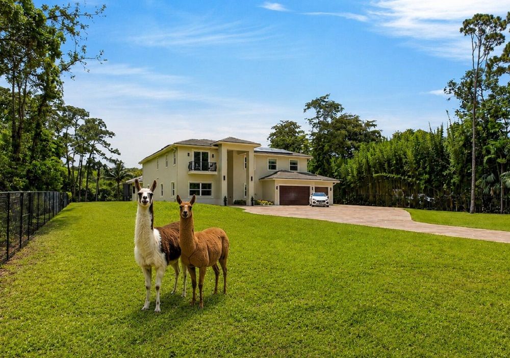 property-image-2