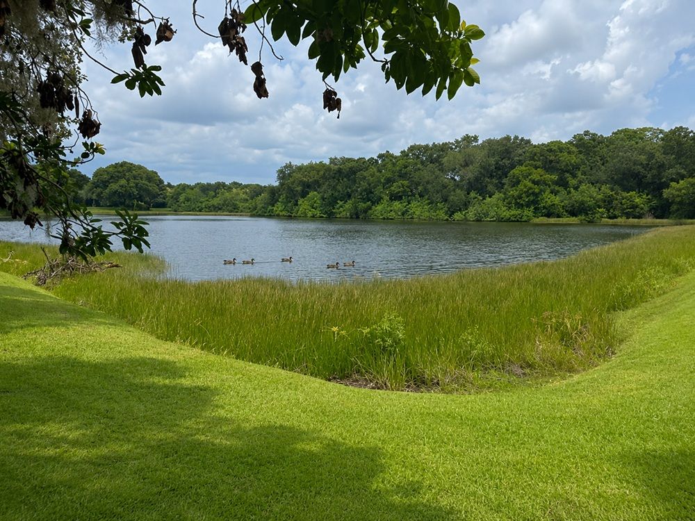 property-image-4