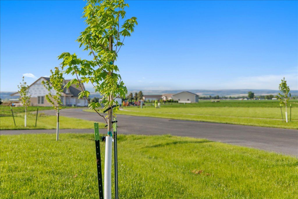 property-image-3