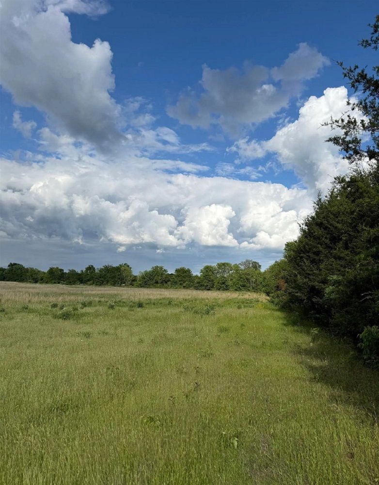 Beautiful 120-Acres Of Land