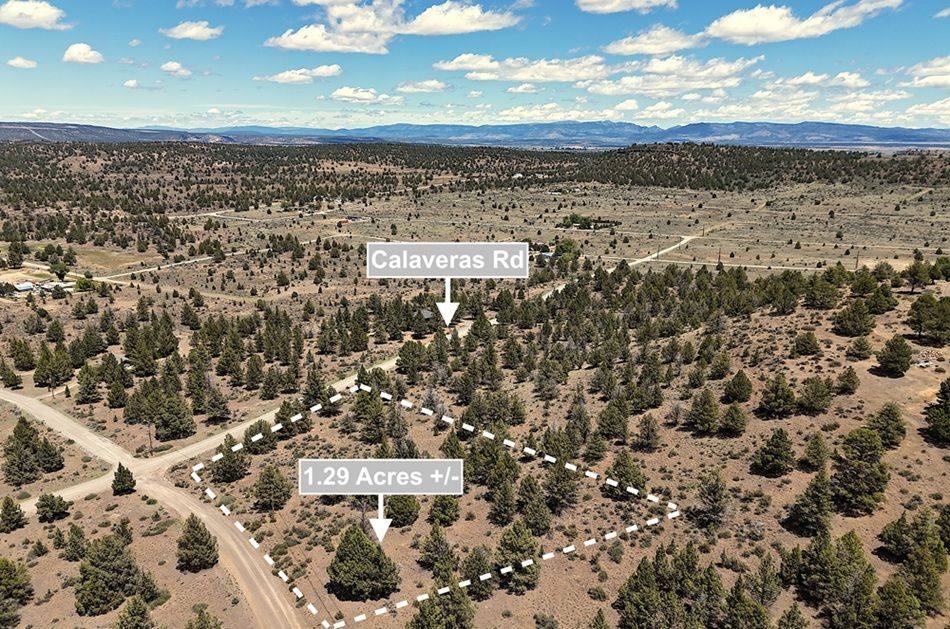 Calaveras Road