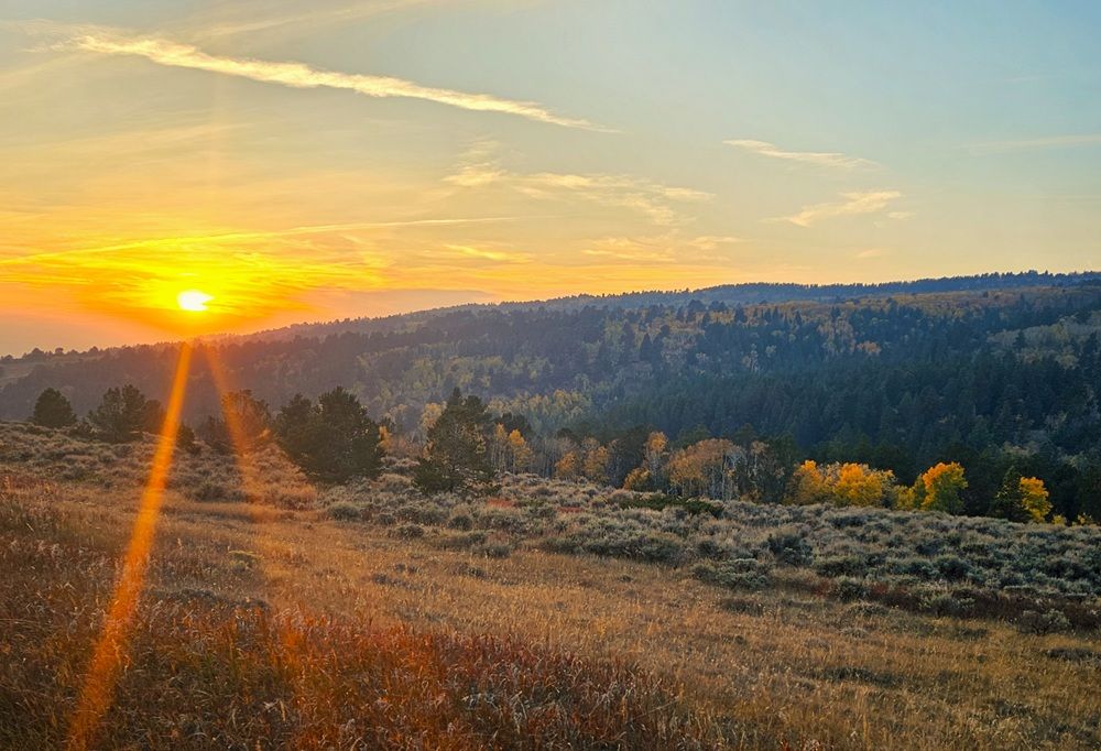 Mountain Living Starts Here — Untamed Beauty Atop Casper Mountain. Two 10AC Parcels