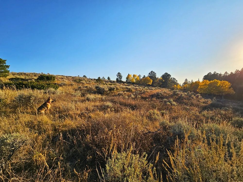 property-image-4
