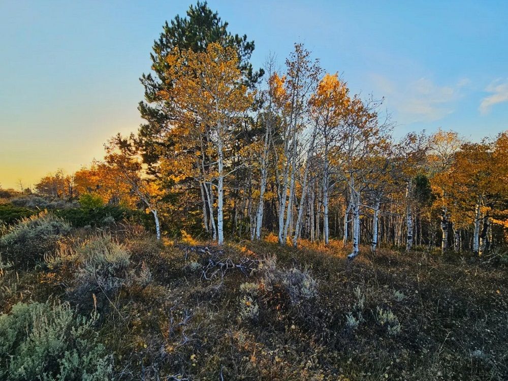 property-image-5