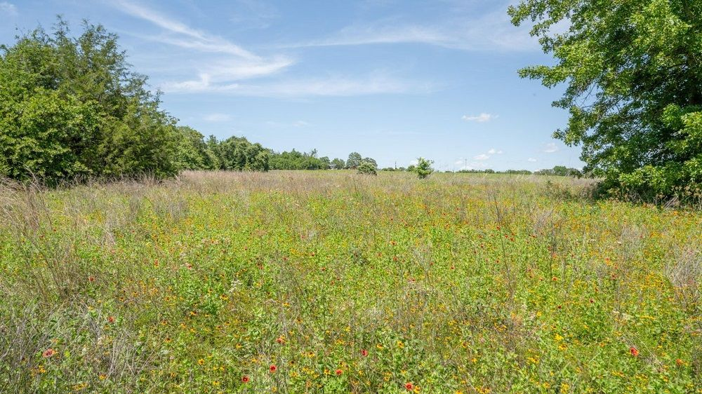 property-image-4