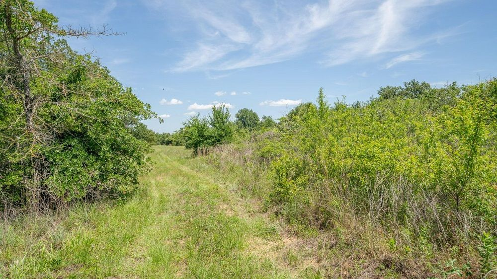property-image-7