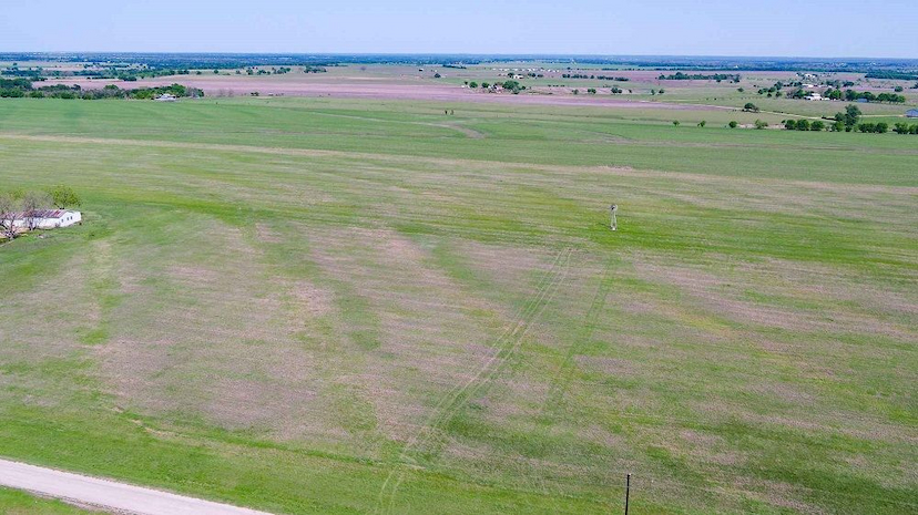 61 Acres | Milam County