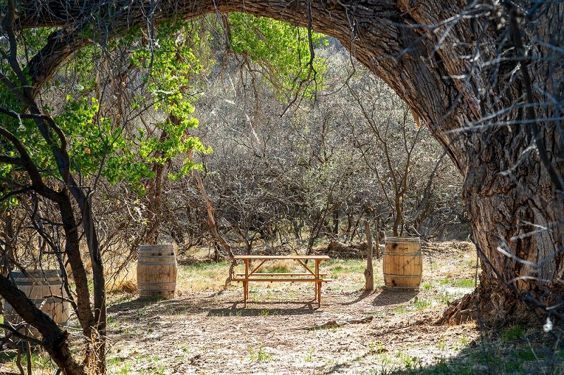 property-image-4