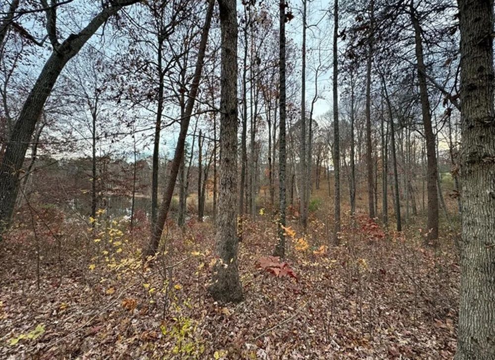 property-image-3
