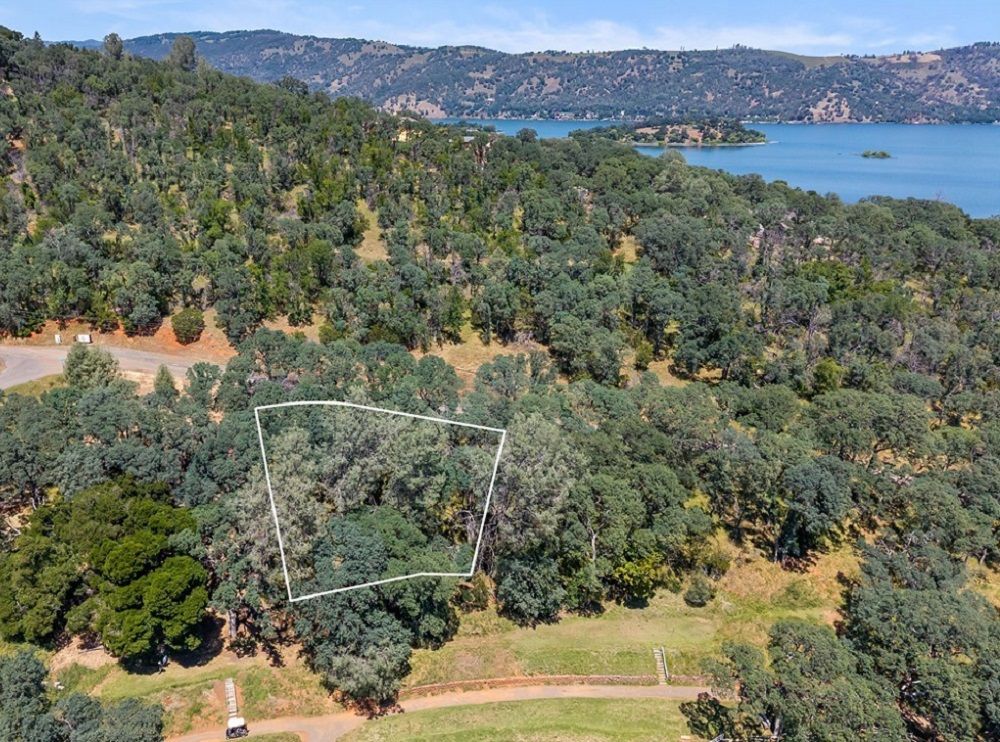 8239 Little Borax Lake Rd