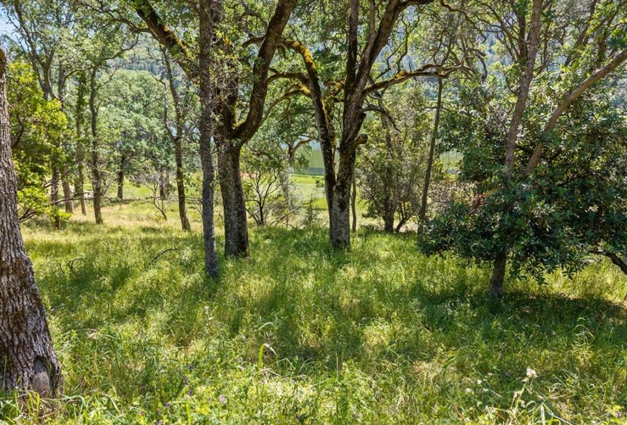 property-image-4