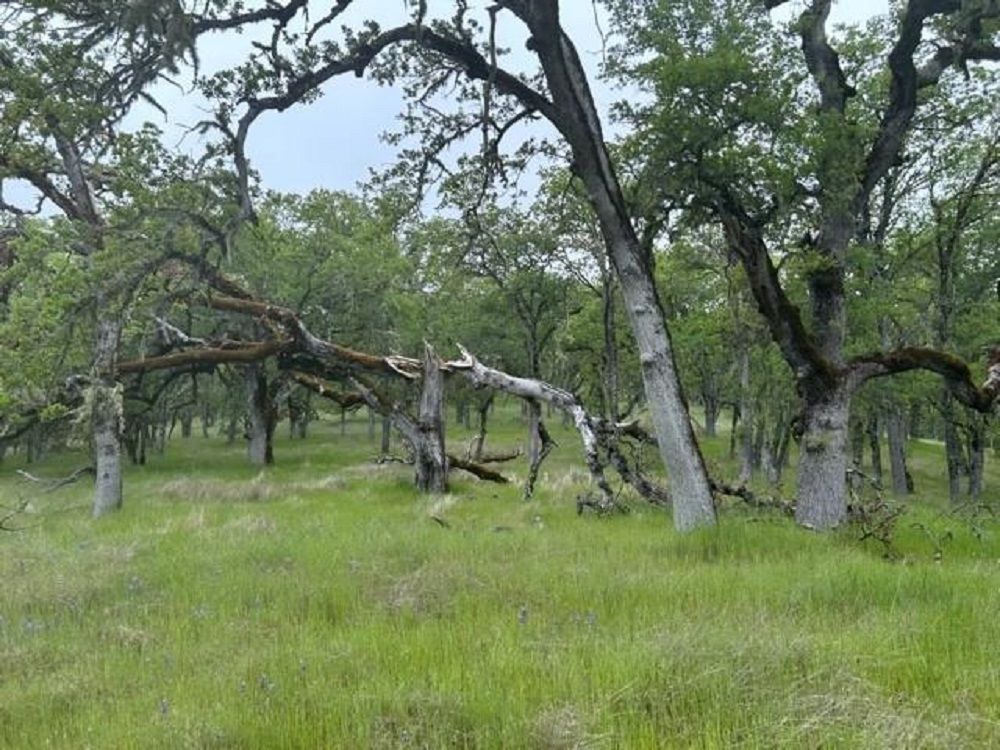 property-image-3
