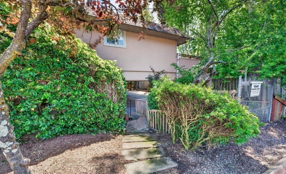Mill Valley Investment Gem