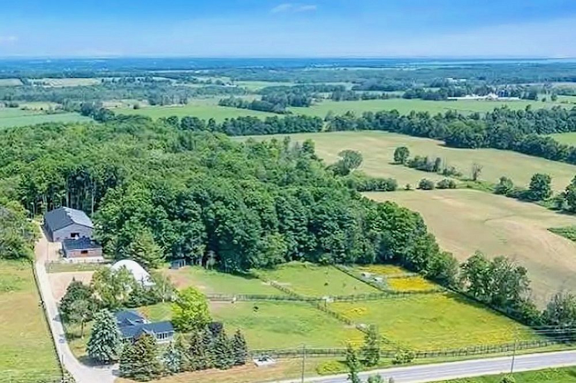 Turnkey Equestrian Estate
