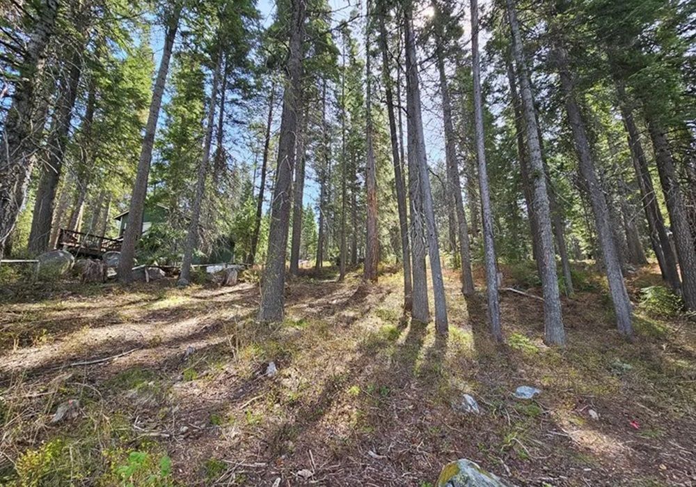 property-image-6