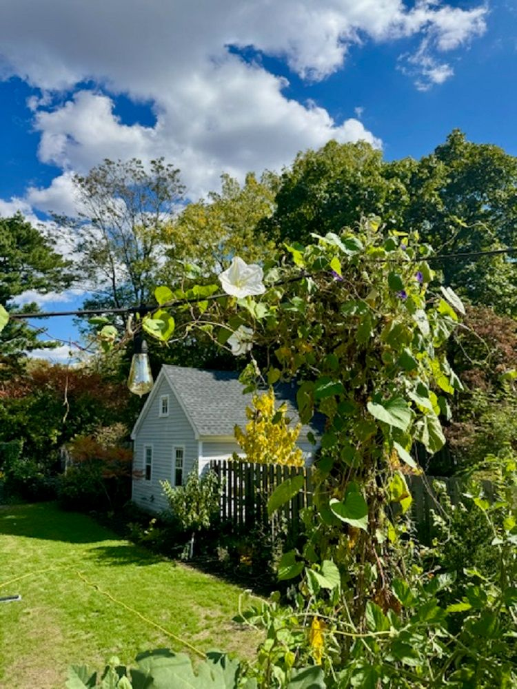 property-image-5