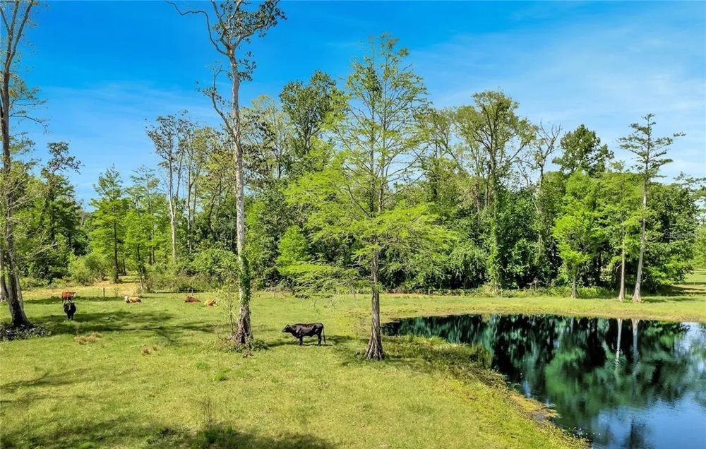 property-image-6