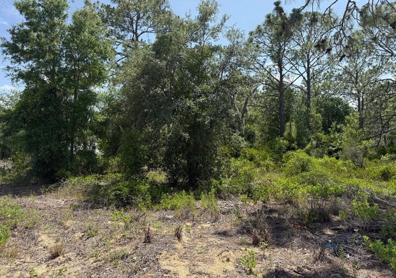 property-image-5
