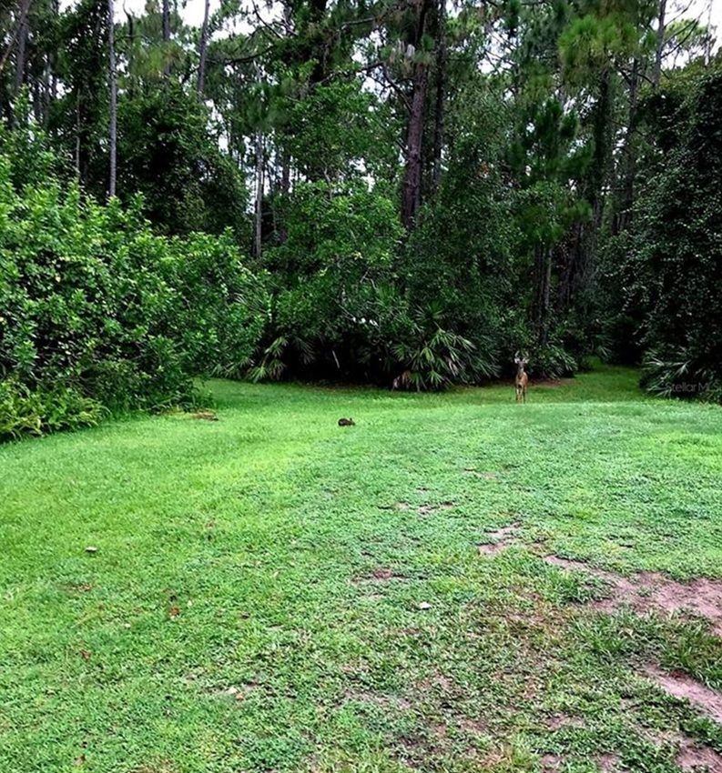 property-image-4