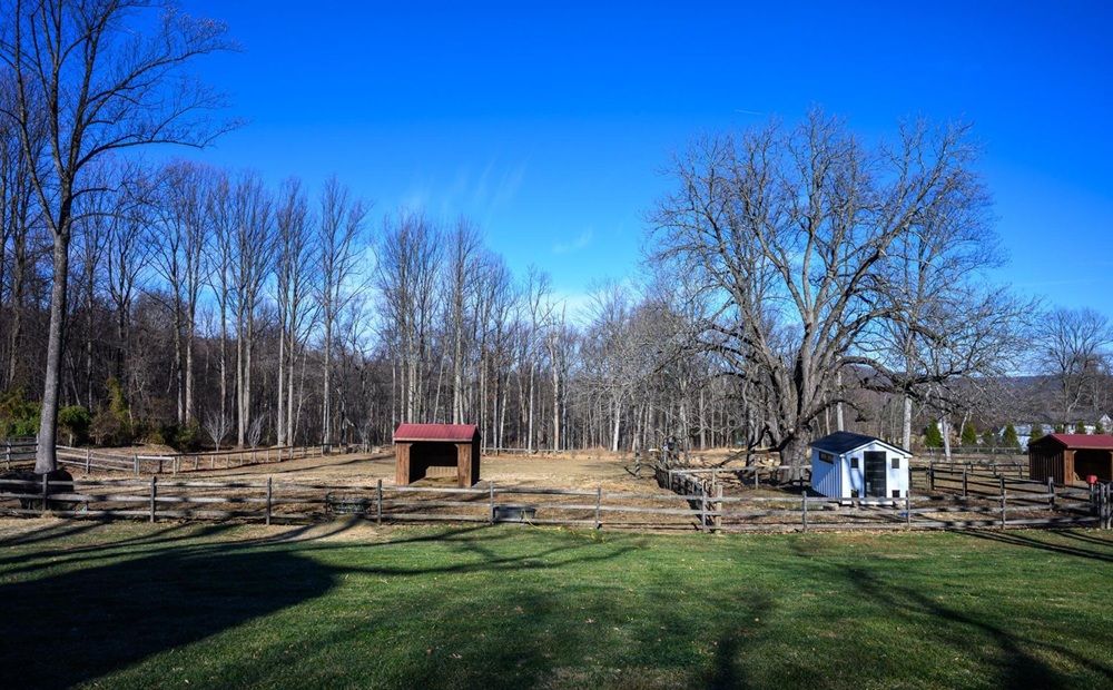 property-image-6