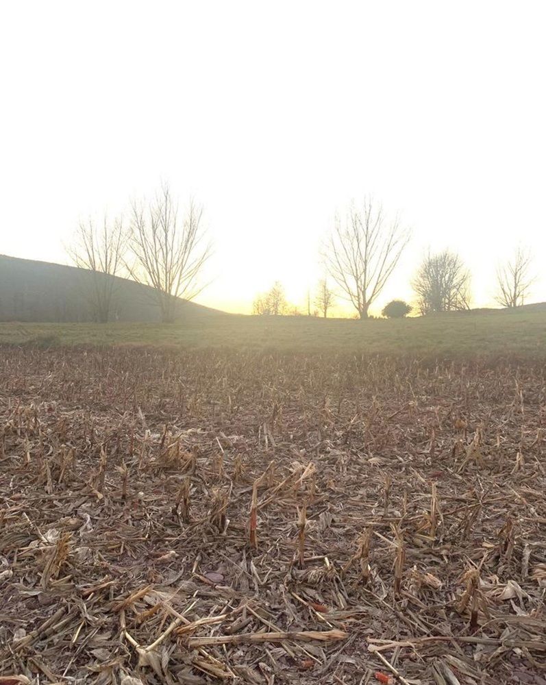 property-image-6