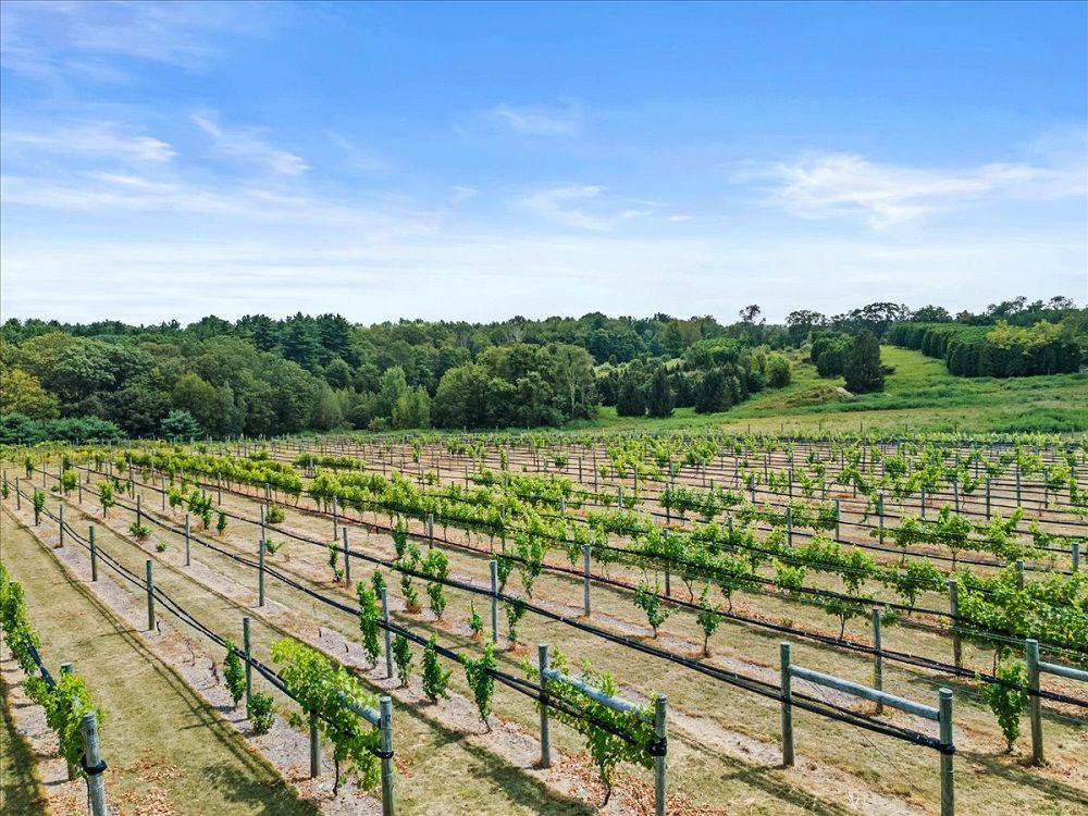 property-image-6
