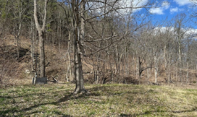 property-image-2