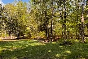 property-image-2
