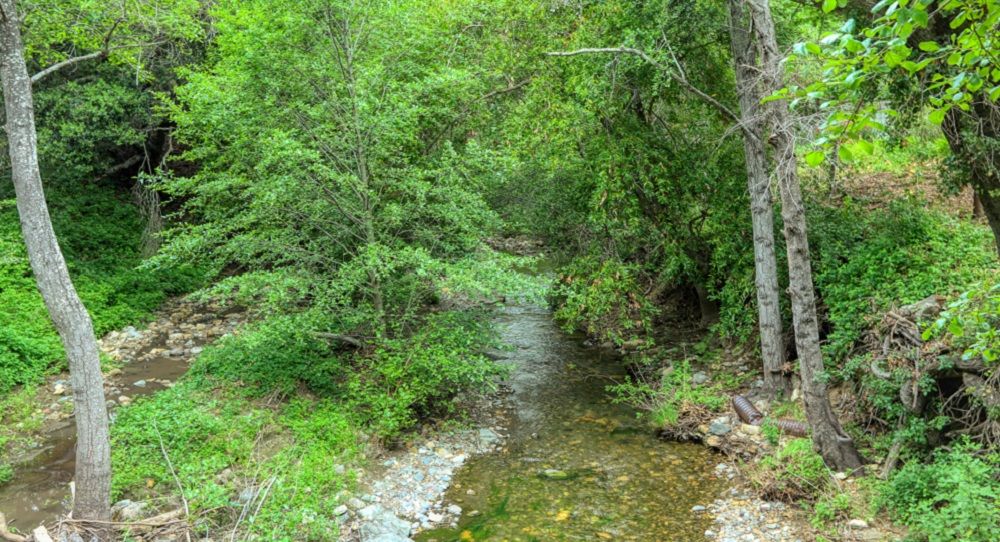property-image-4