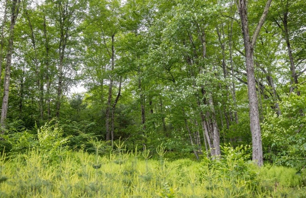 property-image-4
