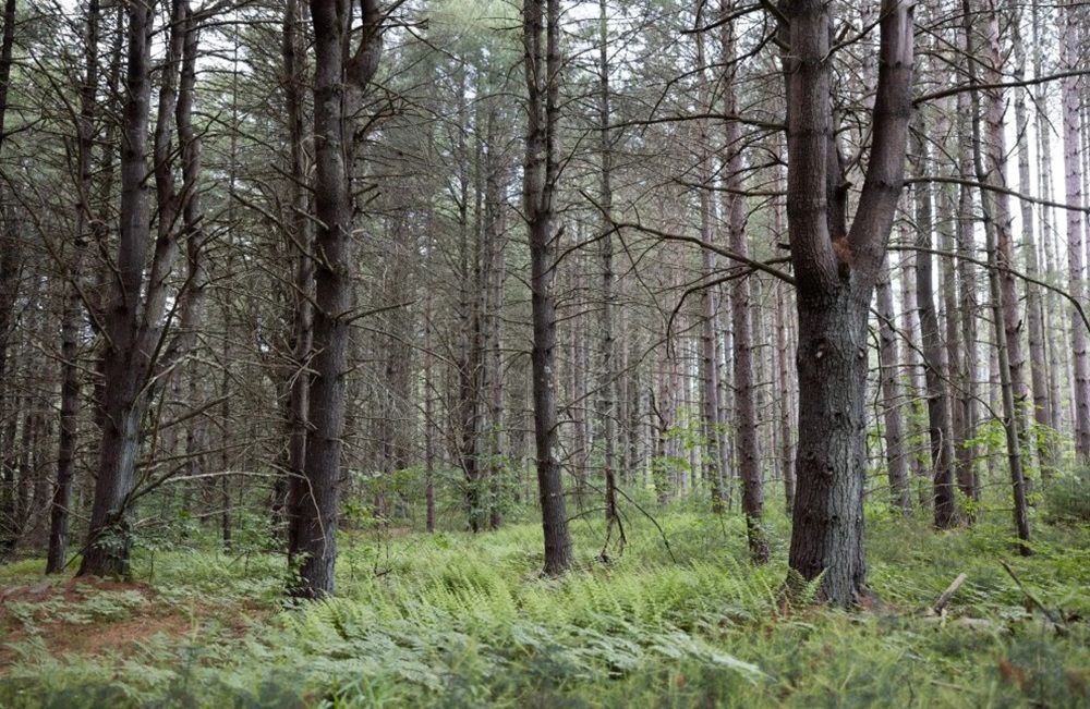 property-image-6