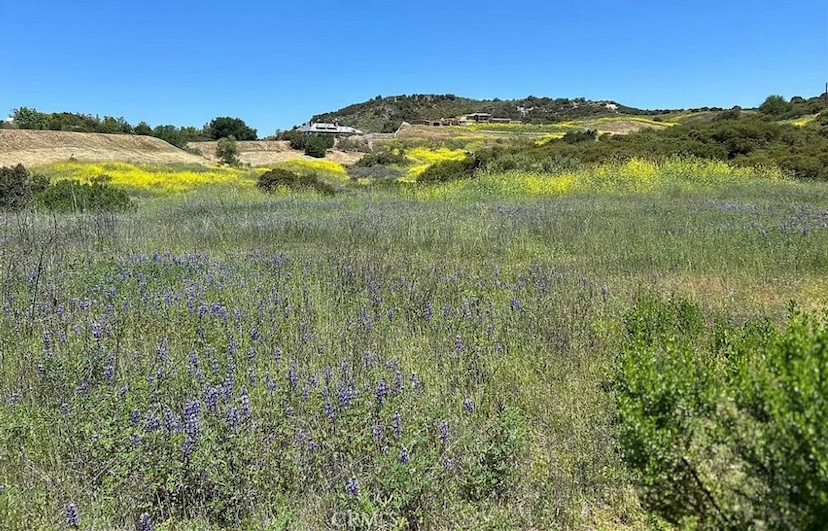 1/2 Acre Graded Lot
