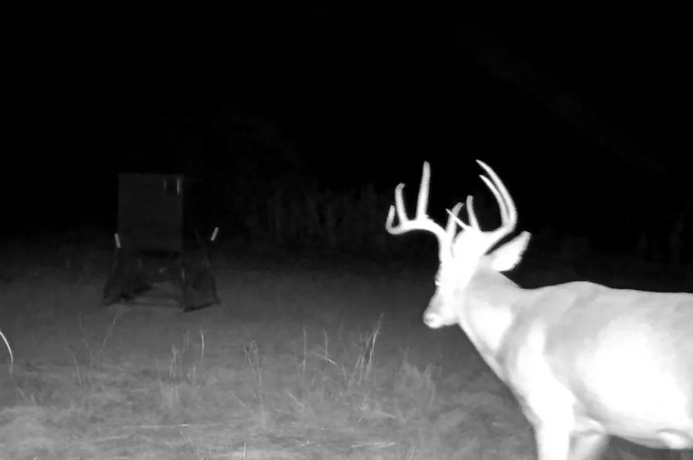 Prime Texas Hunting Ranch With Canyon Terrain & Water Wells