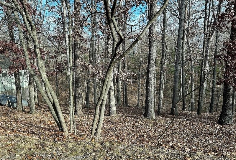 property-image-5