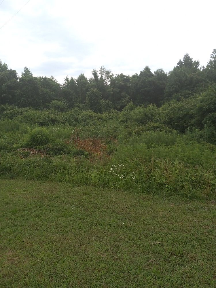 0 Lewis Estates Ln Lot 3
