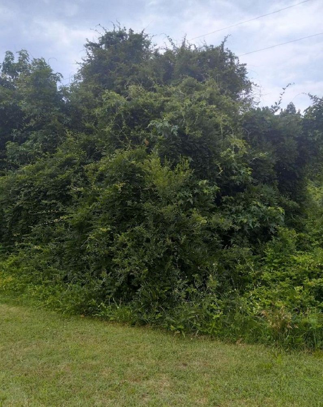 property-image-3