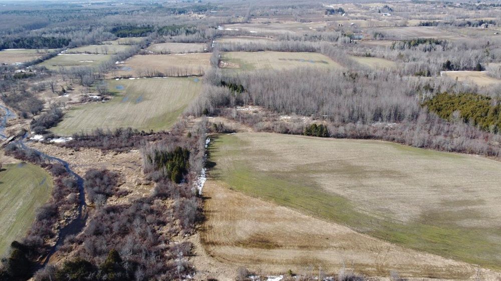 115+ Acre Farmland – Milton