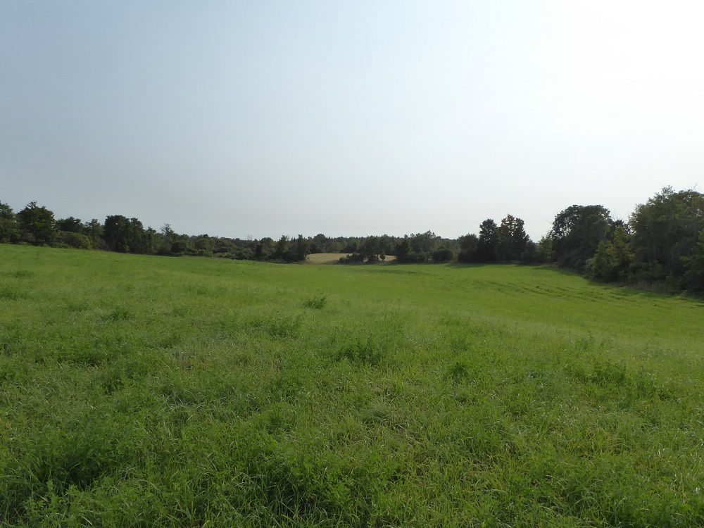 property-image-5