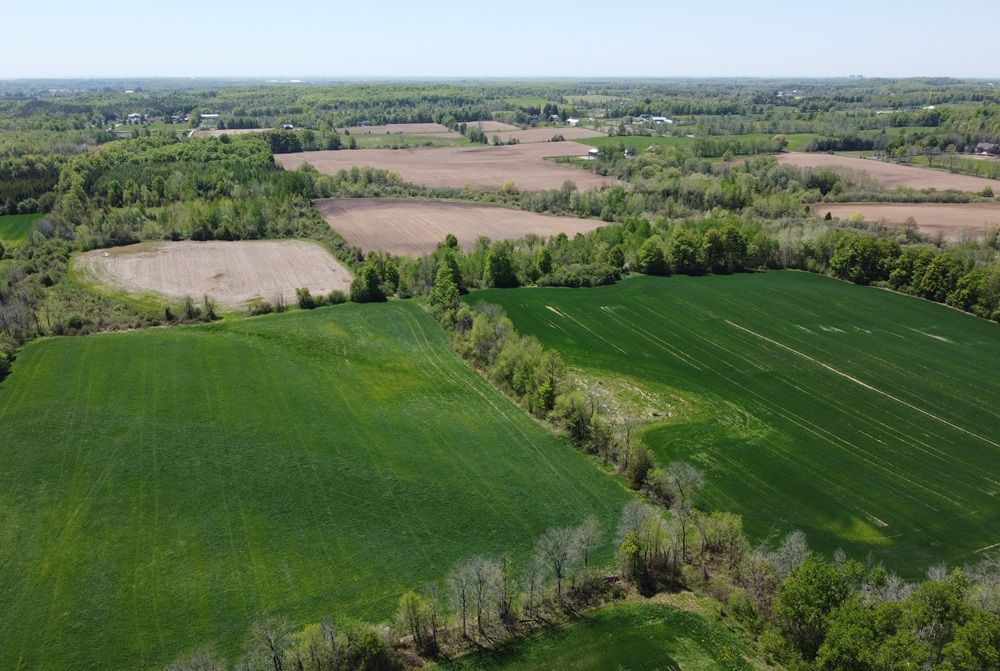 115+ Acre Farmland – Milton
