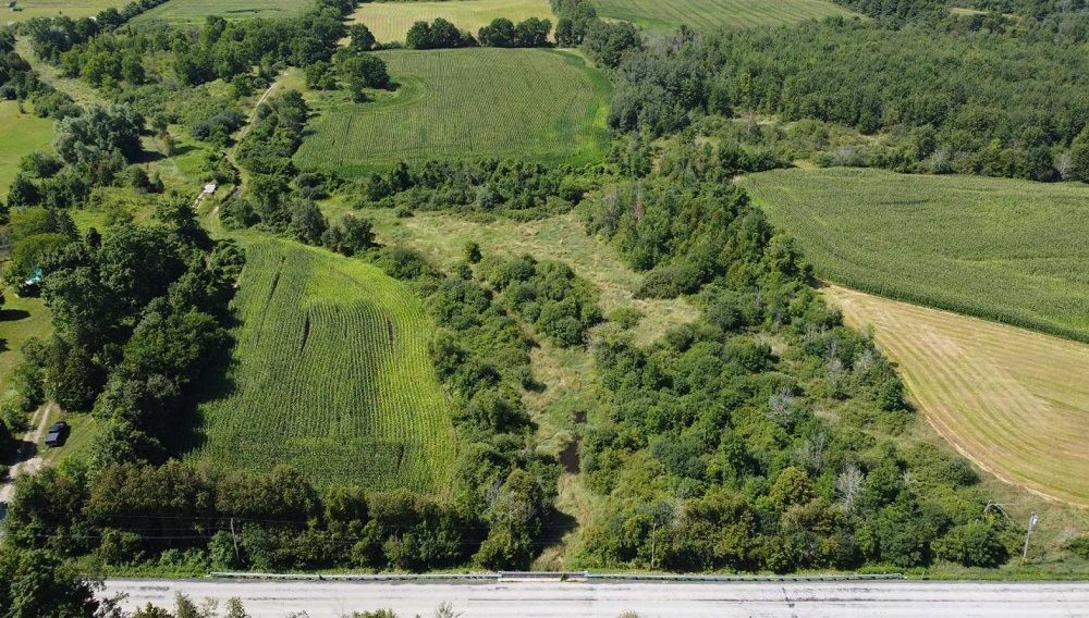 115+ Acres Farmland