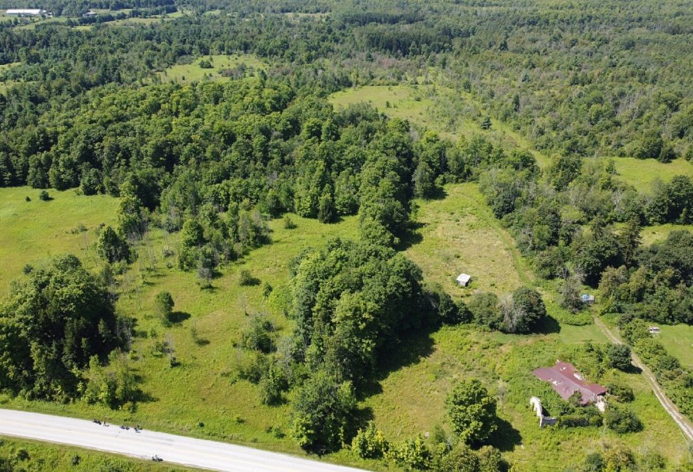 Scenic 83 Acre Playground