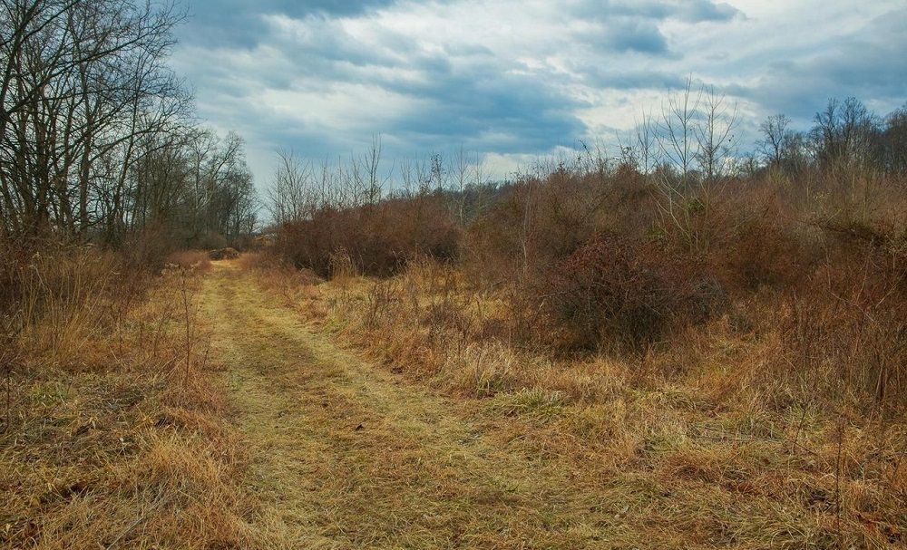 property-image-5