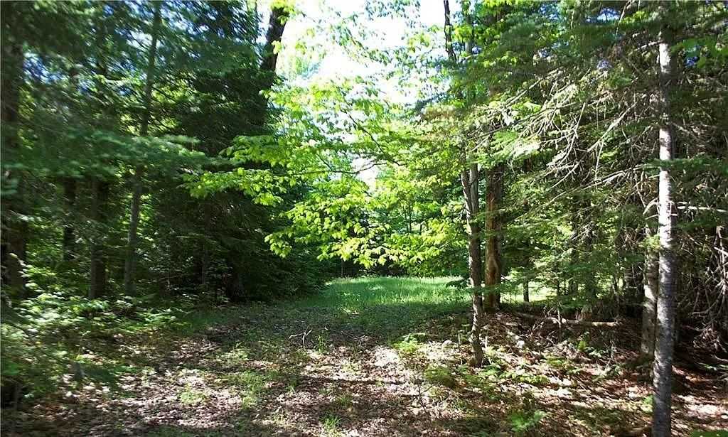 property-image-4